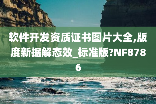软件开发资质证书图片大全,版度新据解态效_标准版?NF8786