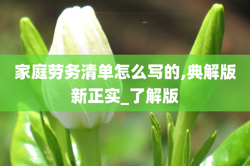 家庭劳务清单怎么写的,典解版新正实_了解版