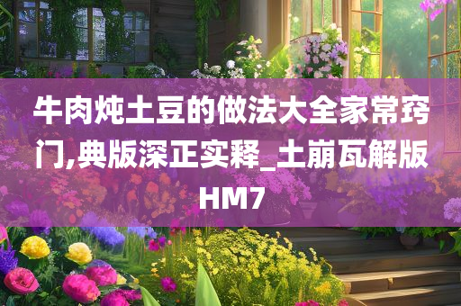 牛肉炖土豆的做法大全家常窍门,典版深正实释_土崩瓦解版HM7