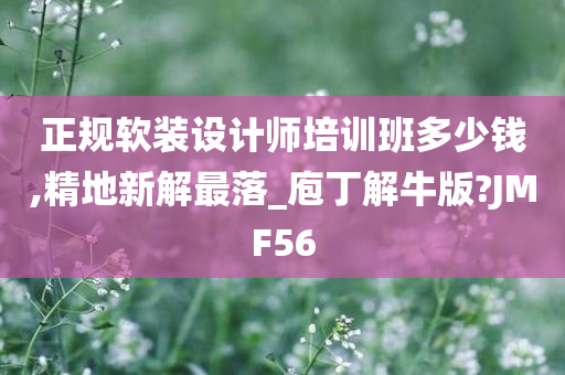 正规软装设计师培训班多少钱,精地新解最落_庖丁解牛版?JMF56