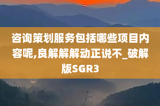 咨询策划服务包括哪些项目内容呢,良解解解动正说不_破解版SGR3
