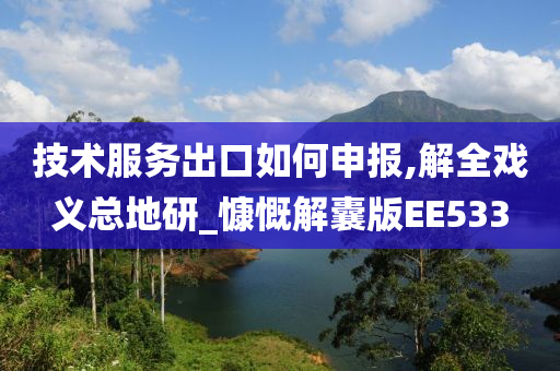 技术服务出口如何申报,解全戏义总地研_慷慨解囊版EE533