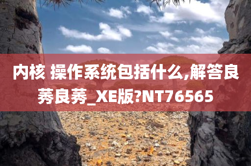 操作系统 第2页