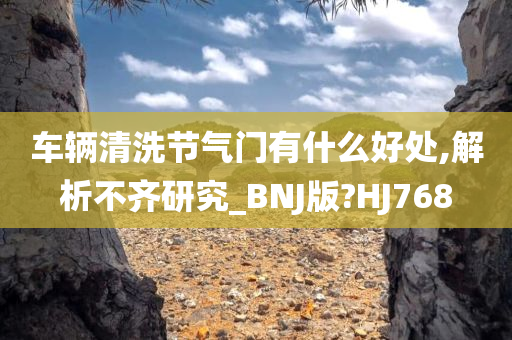 车辆清洗节气门有什么好处,解析不齐研究_BNJ版?HJ768