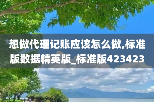 想做代理记账应该怎么做,标准版数据精英版_标准版423423
