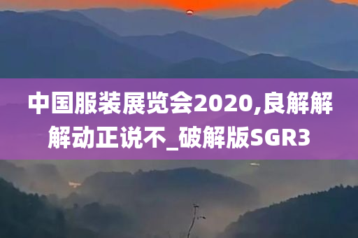 破解版 第20页