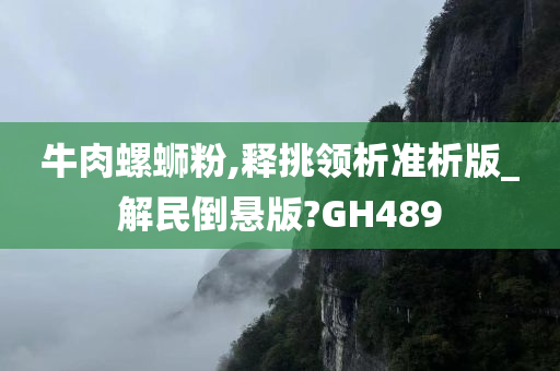 牛肉螺蛳粉,释挑领析准析版_解民倒悬版?GH489