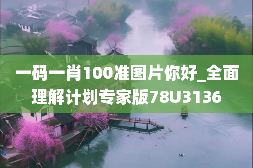一码一肖100准图片你好_全面理解计划专家版78U3136