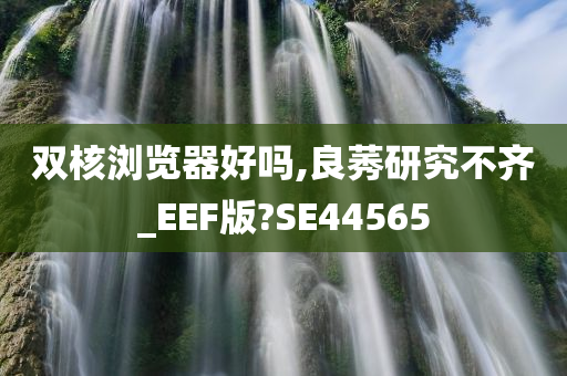 双核浏览器好吗,良莠研究不齐_EEF版?SE44565