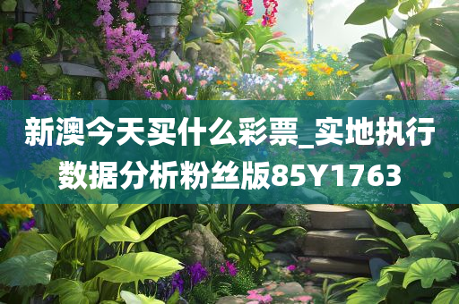 新澳今天买什么彩票_实地执行数据分析粉丝版85Y1763