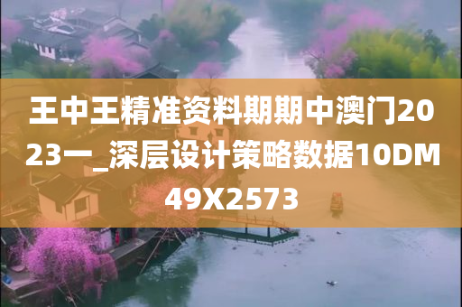 王中王精准资料期期中澳门2023一_深层设计策略数据10DM49X2573