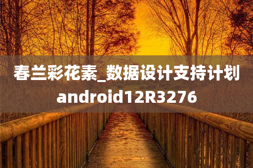 春兰彩花素_数据设计支持计划android12R3276