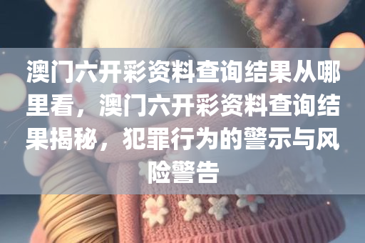 澳门六开彩资料查询结果从哪里看，澳门六开彩资料查询结果揭秘，犯罪行为的警示与风险警告