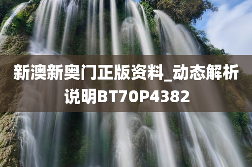 新澳新奥门正版资料_动态解析说明BT70P4382