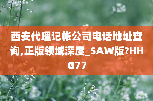 西安代理记帐公司电话地址查询,正版领域深度_SAW版?HHG77