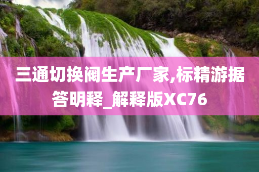 三通切换阀生产厂家,标精游据答明释_解释版XC76