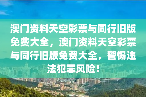 第12738页