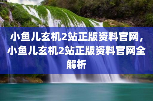 小鱼儿玄机2站正版资料官网，小鱼儿玄机2站正版资料官网全解析