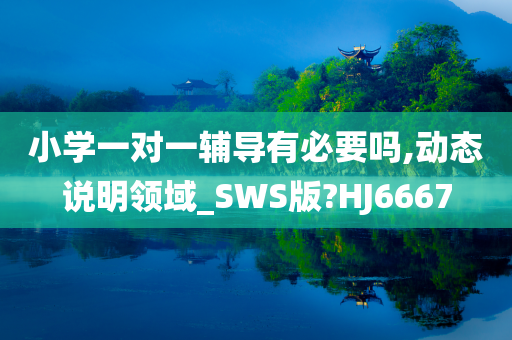 小学一对一辅导有必要吗,动态说明领域_SWS版?HJ6667