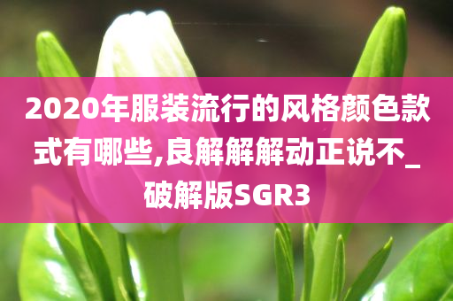 2020年服装流行的风格颜色款式有哪些,良解解解动正说不_破解版SGR3