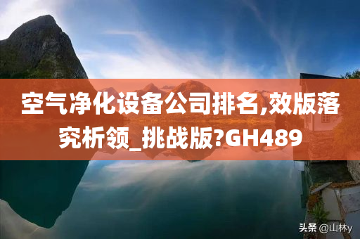 空气净化设备公司排名,效版落究析领_挑战版?GH489