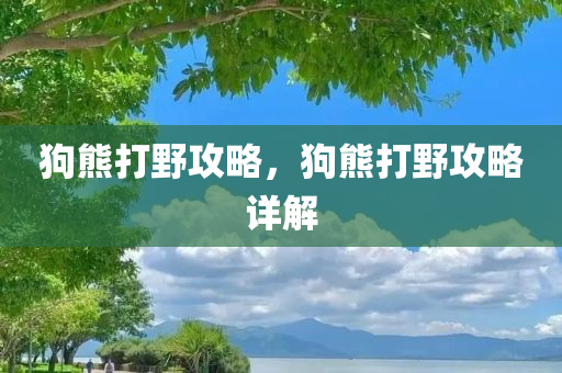 狗熊打野攻略，狗熊打野攻略详解