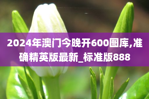 澳门 第13页