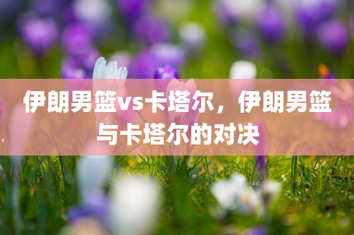 伊朗男篮vs卡塔尔，伊朗男篮与卡塔尔的对决