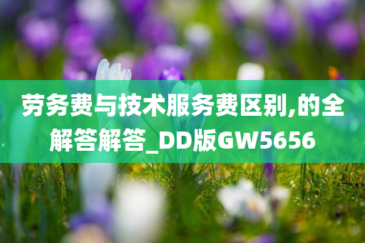 劳务费与技术服务费区别,的全解答解答_DD版GW5656今晚必出三肖2025_2025新澳门精准免费提供·精确判断