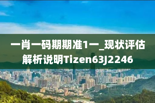 一肖一码期期准1一_现状评估解析说明Tizen63J2246