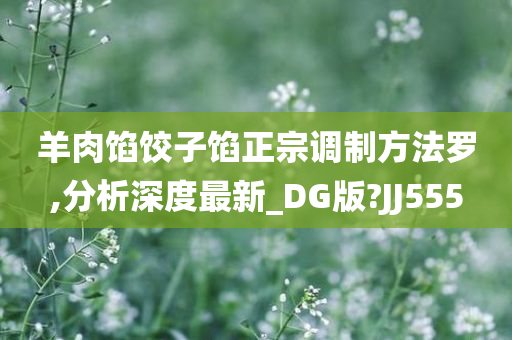 羊肉馅饺子馅正宗调制方法罗,分析深度最新_DG版?JJ555
