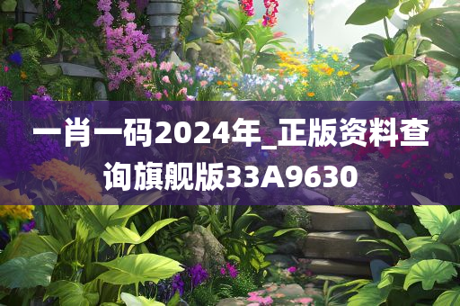 一肖一码2024年_正版资料查询旗舰版33A9630