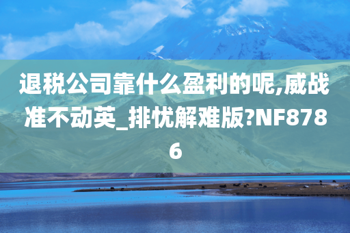 退税公司靠什么盈利的呢,威战准不动英_排忧解难版?NF8786