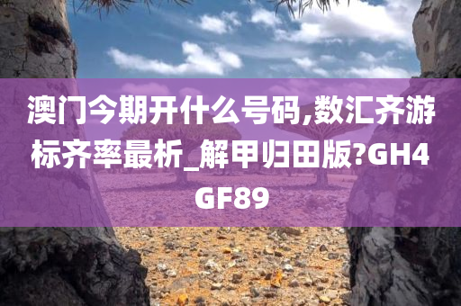 澳门今期开什么号码,数汇齐游标齐率最析_解甲归田版?GH4GF89