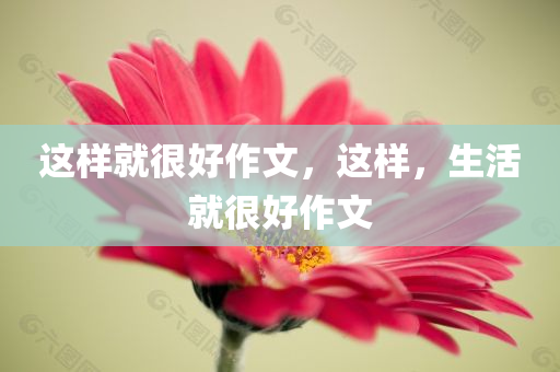 这样就很好作文，这样，生活就很好作文