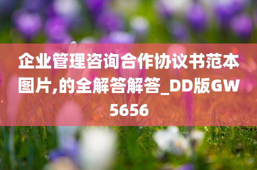 huamei 第89页