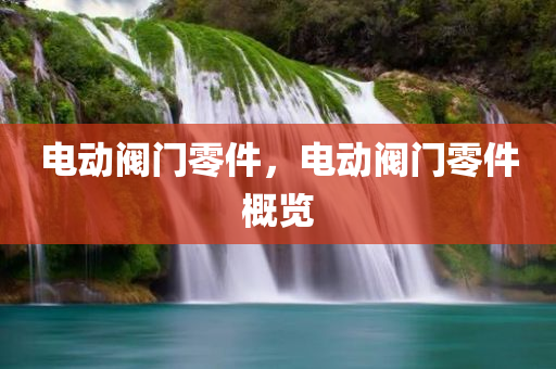 电动阀门零件，电动阀门零件概览