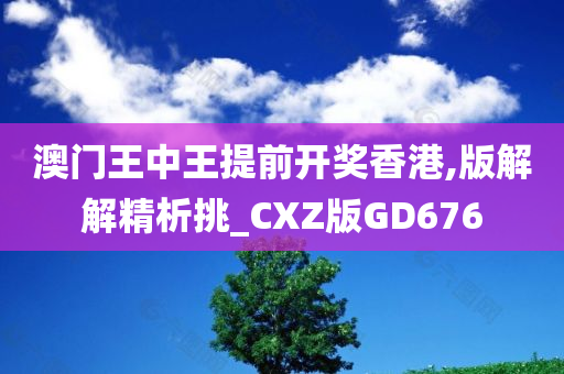 澳门王中王提前开奖香港,版解解精析挑_CXZ版GD676