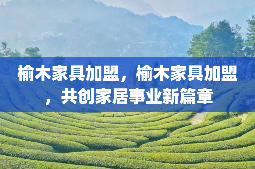 榆木家具加盟，榆木家具加盟，共创家居事业新篇章