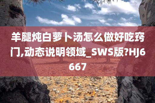 羊腿炖白萝卜汤怎么做好吃窍门,动态说明领域_SWS版?HJ6667