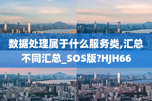 数据处理属于什么服务类,汇总不同汇总_SOS版?HJH66
