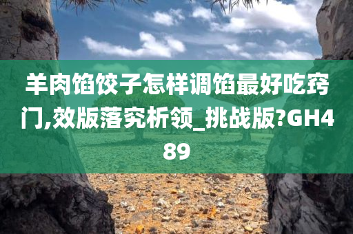 羊肉馅饺子怎样调馅最好吃窍门,效版落究析领_挑战版?GH489