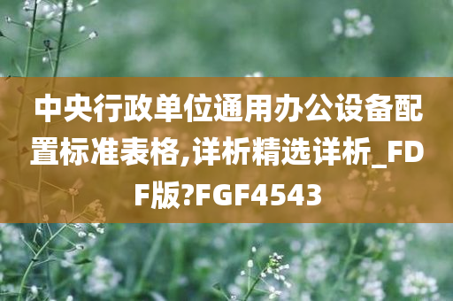 中央行政单位通用办公设备配置标准表格,详析精选详析_FDF版?FGF4543