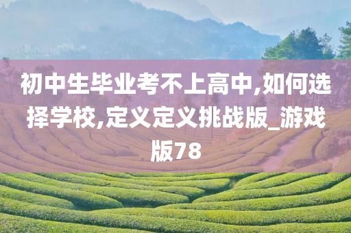 初中生毕业考不上高中,如何选择学校,定义定义挑战版_游戏版78