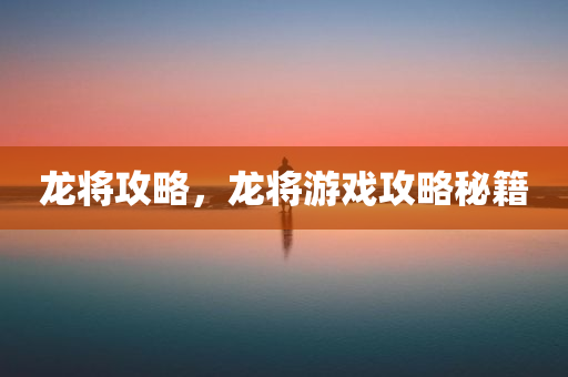 龙将攻略，龙将游戏攻略秘籍