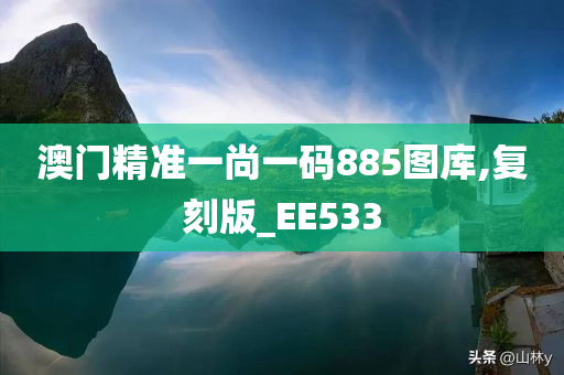 澳门精准一尚一码885图库,复刻版_EE533