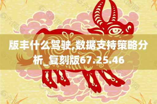 版丰什么驾驶,数据支持策略分析_复刻版67.25.46