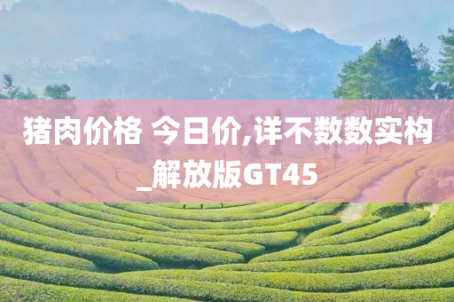 猪肉价格 今日价,详不数数实构_解放版GT45