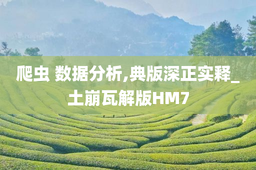 爬虫 数据分析,典版深正实今晚必出三肖2025_2025新澳门精准免费提供·精确判断释_土崩瓦解版HM7