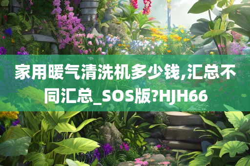 家用暖气清洗机多少钱,汇总不同汇总_SOS版?HJH66